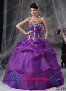 Ball Gown Sweetheart Floor-length Organza Appliques Fashion Quinceanera Dress