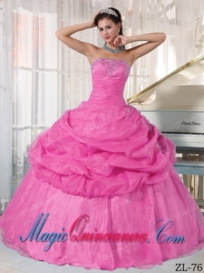 Pink Ball Gown Strapless Appliqued Organza Fashion Quinceanera Dress