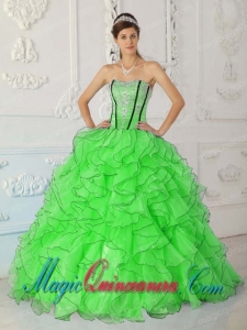 Ball Gown Strapless Spring Green Organza Appliques Pretty Quinceanera Dress