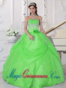 Spring Green Ball Gown Strapless Taffeta and Organza Pretty Quinceanera Dress with Appliques and Hand Made Flower