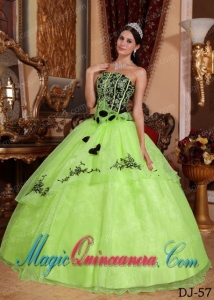 Yellow Green and Black Ball Gown Strapless Embroidery Spring Quinceanera Dress