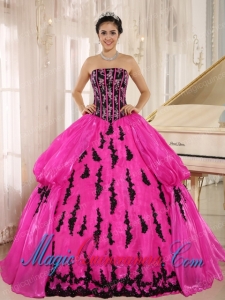 Hot Pink 2013 New Arrival Strapkess Embroidery Decorate For Pretty Quinceanera Dress