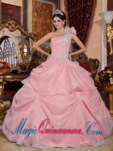 Pink Ball Gown One Shoulder Floor-length Organza Appliques Spring Quinceanera Dress