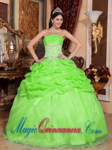 Spring Green Ball Gown Strapless Floor-length Organza Appliques Spring Quinceanera Dress