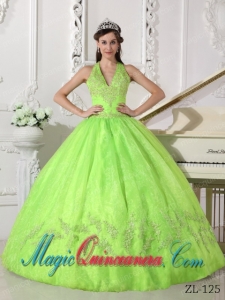 Yellow Green Ball Gown Halter Floor-length Taffeta and Organza Appliques Spring Quinceanera Dress