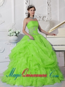 Spring Green Ball Gown Strapless Floor-length Organza Beading Sweet 15 Quinceanera Dress