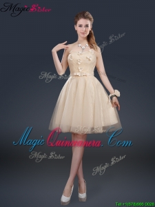 Afforable Strapless Dama Dresses with Appliques and Belt