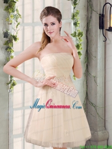Strapless Appliques 2015 New Mother of the Bride Dresses in Champagne