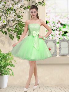 Modern Sleeveless Organza Lace Up Dama Dress for Prom and Party