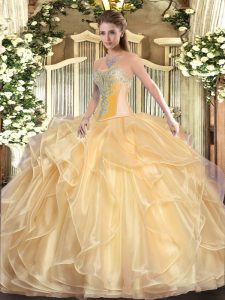 Ball Gowns Sweet 16 Dresses Champagne Sweetheart Organza Sleeveless Floor Length Lace Up