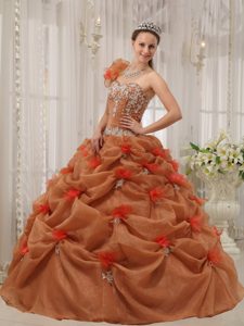 one Shoulder Rust Red Appliqued Quinceanera Dresses for Sale