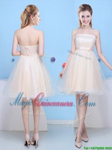 Dynamic Champagne Sleeveless Tulle Lace Up Quinceanera Dama Dress for Prom and Party and Wedding Party