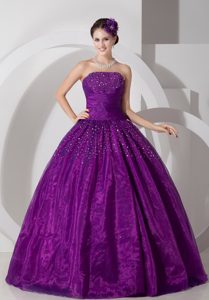 2013 New Beaded Strapless Eggplant Purple Organza Quinces Dress