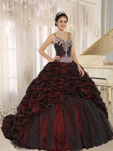 Special Fabric Spaghetti Straps Appliqued Quinceanera Dresses