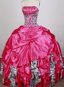 Zebra Detachable Beading Hot Pink Quinceanera Dress in Sydney