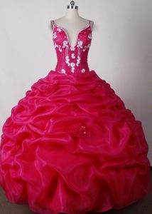 Beading Straps Hot Pink Hand Flowers Quinceanera Dress with Pick-ups