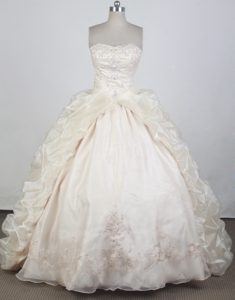 Appliques Champagne Floor-length Quinceanera Dress in Havana