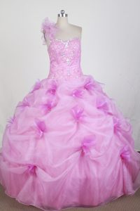 Floral Shoulder Sweetheart Quince Ball Gown in Rose Pink