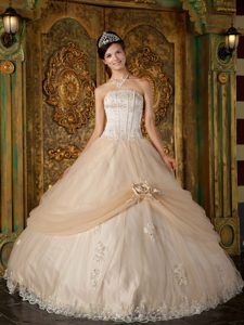 Champagne Tulle Strapless Quinceanera Gown Dress with Appliques