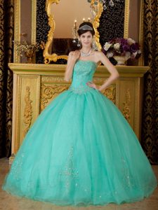 Turquoise Ball Gown Beaded Organza Quinces Dresses in Ballycastle